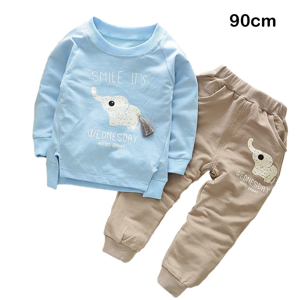 Ailan Barnkläder Fritidsstil Pojkar Tecknad Elefant Babykläder Set Bomull Långärmade Toppar Byxor Barn Luvtröja, Ljusblå, 90 cm
