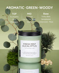 M&SENSE Eukalyptus mint doftljus för home decoration, hem doftande 550g 110 timmar bränd soja stresslindring meditation yoga spa Naturlig burkljus för män och kvinnor
