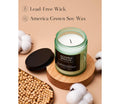 M&SENSE Ocean Breeze Organic Soy Scented Candles Gifts for Women & Men Non Toxic 200g 50H Burn Time Candles for Home Decor Small Jar Clear Burning Candle for Summer Evening Relaxation Stress Relief