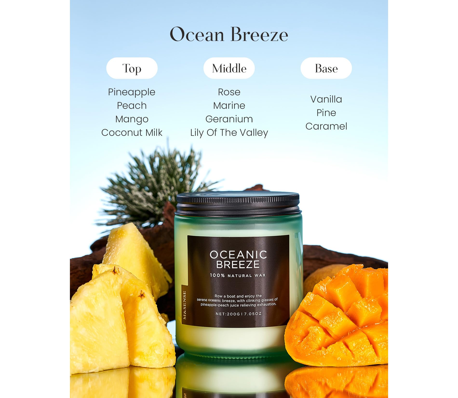 M&SENSE Ocean Breeze Organic Soy Scented Candles Gifts for Women & Men Non Toxic 200g 50H Burn Time Candles for Home Decor Small Jar Clear Burning Candle for Summer Evening Relaxation Stress Relief