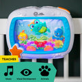 Baby Einstein 11058 Leksak med fjärrkontroll, Flerfärgad, 750 g