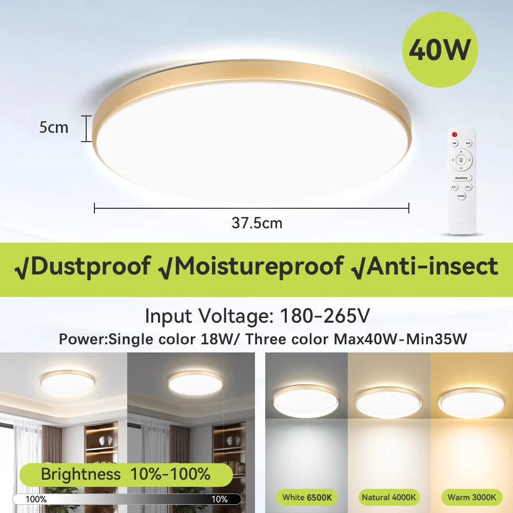 Modern Ceiling Lamp With Remote Control Room Decor Dimmable RGB LED Ceiling Light Fixture For Living Room Bedroom Corridor