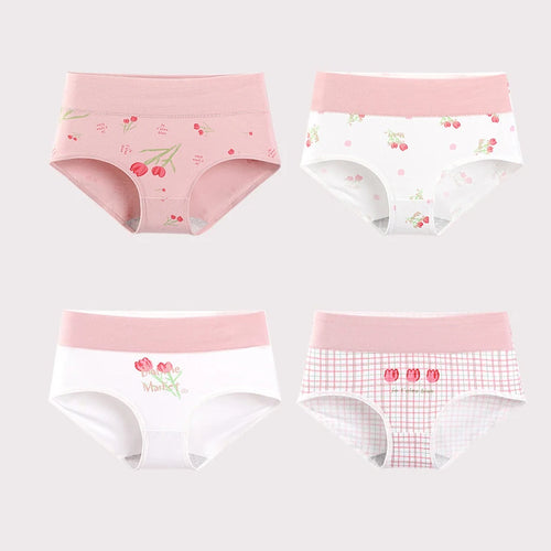 4Pcs Women Cotton Panties High Waist Underwear Fashion