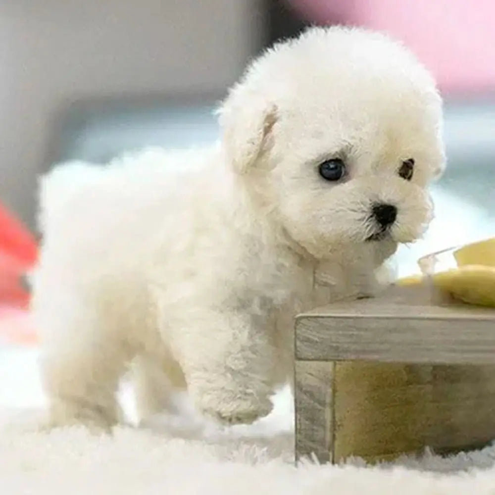 2026 Hot Fashion Interactive Robot Puppy Plush Toy – Walking, Barking, Tail Wagging,