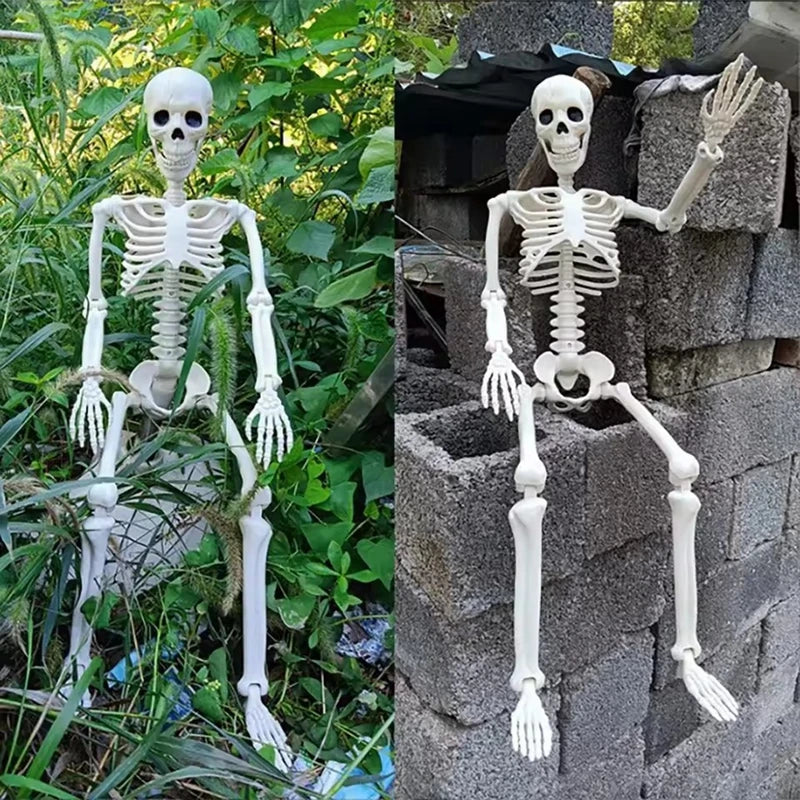 1pc Halloween Skull Skeleton 40cm Posable Skeleton Human