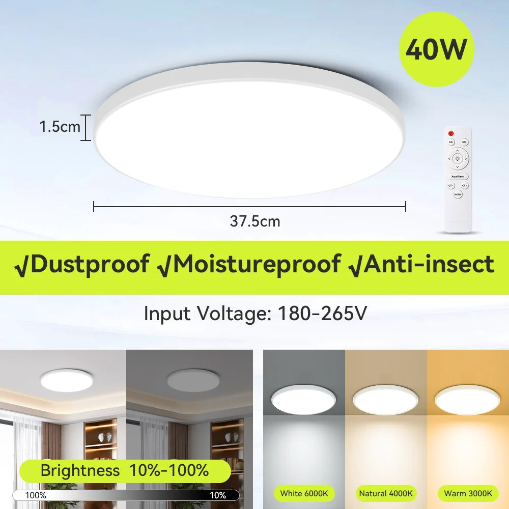 Modern Ceiling Lamp With Remote Control Room Decor Dimmable RGB LED Ceiling Light Fixture For Living Room Bedroom Corridor