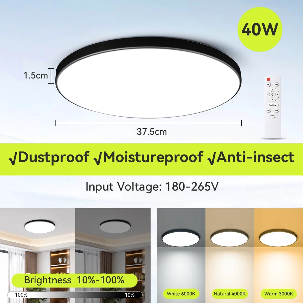 Modern Ceiling Lamp With Remote Control Room Decor Dimmable RGB LED Ceiling Light Fixture For Living Room Bedroom Corridor