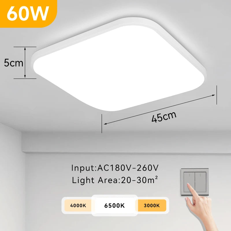 Remote LED Ceiling Lamp Dimmable  40W 50W 60W
