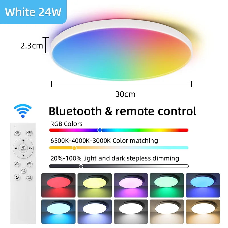 Modern Ceiling Lamp With Remote Control Room Decor Dimmable RGB LED Ceiling Light Fixture For Living Room Bedroom Corridor