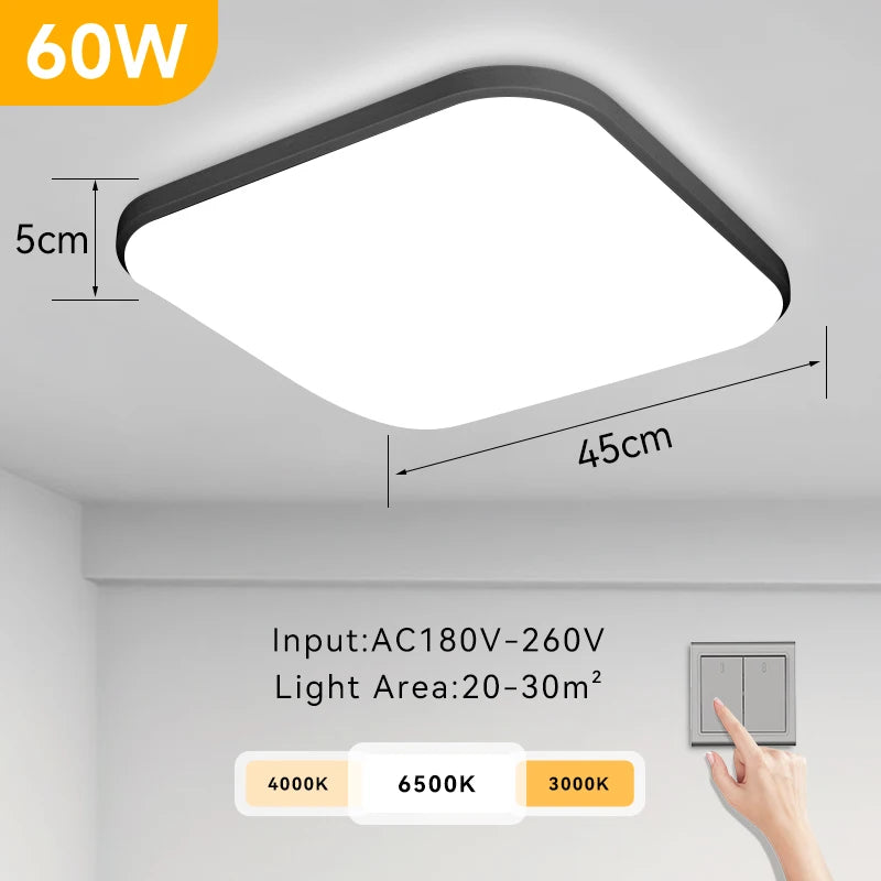 Remote LED Ceiling Lamp Dimmable  40W 50W 60W
