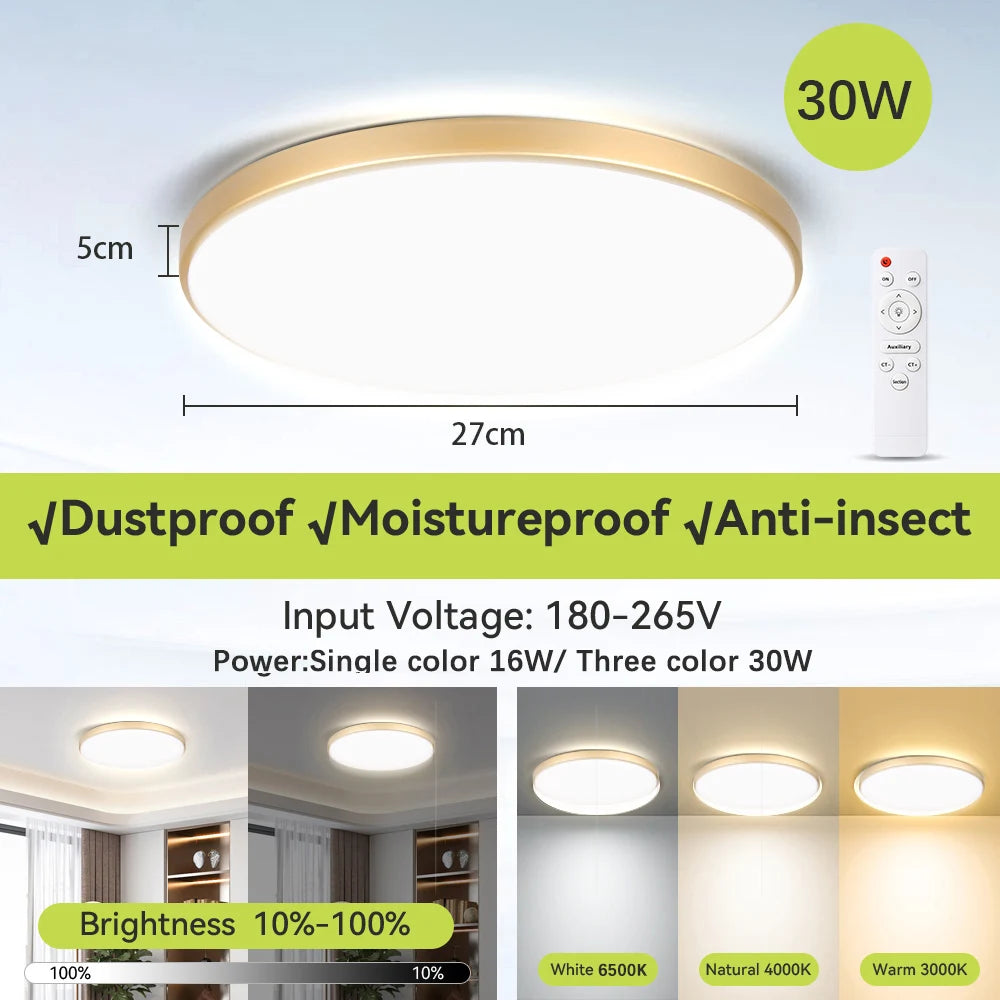 Modern Ceiling Lamp With Remote Control Room Decor Dimmable RGB LED Ceiling Light Fixture For Living Room Bedroom Corridor