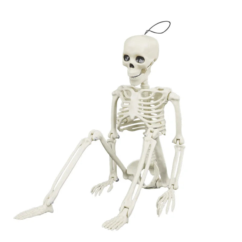 1pc Halloween Skull Skeleton 40cm Posable Skeleton Human