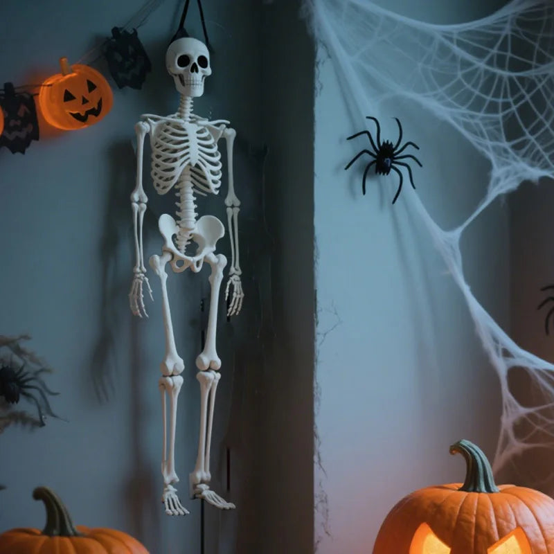1pc Halloween Skull Skeleton 40cm Posable Skeleton Human