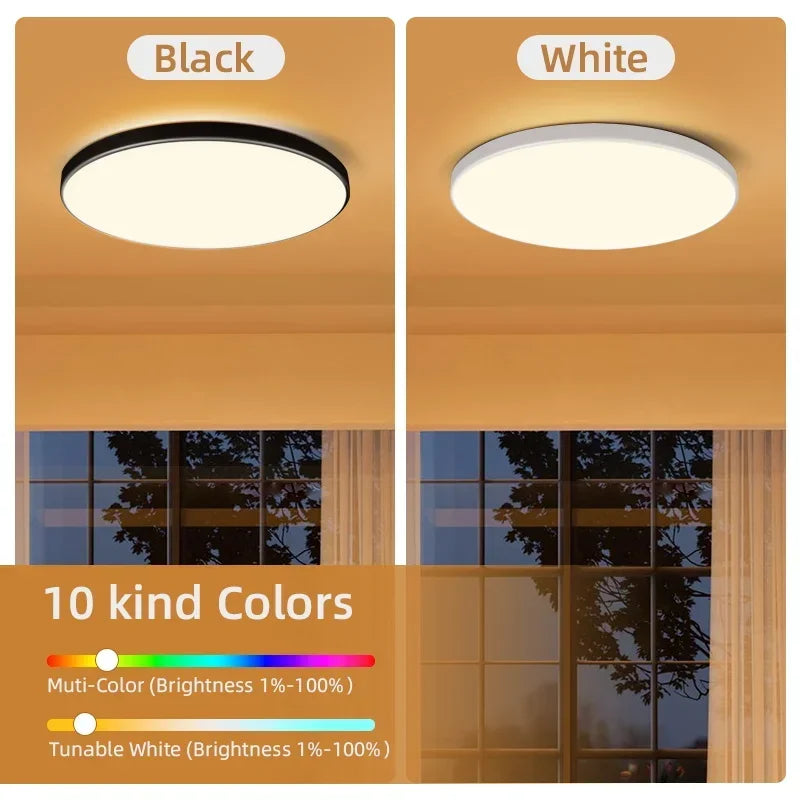 Modern Ceiling Lamp With Remote Control Room Decor Dimmable RGB LED Ceiling Light Fixture For Living Room Bedroom Corridor