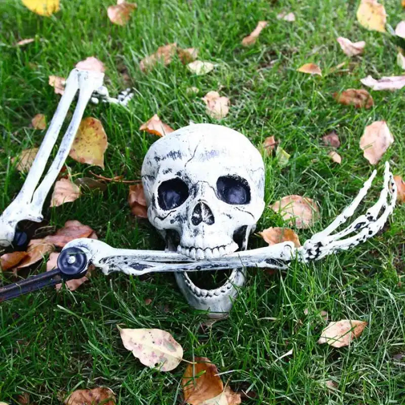 Halloween Realistic Skull Bone Holiday Decoration Props Home Garden