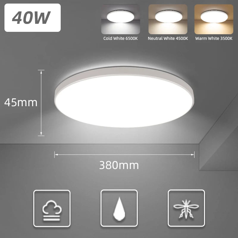 Remote LED Ceiling Lamp Dimmable  40W 50W 60W