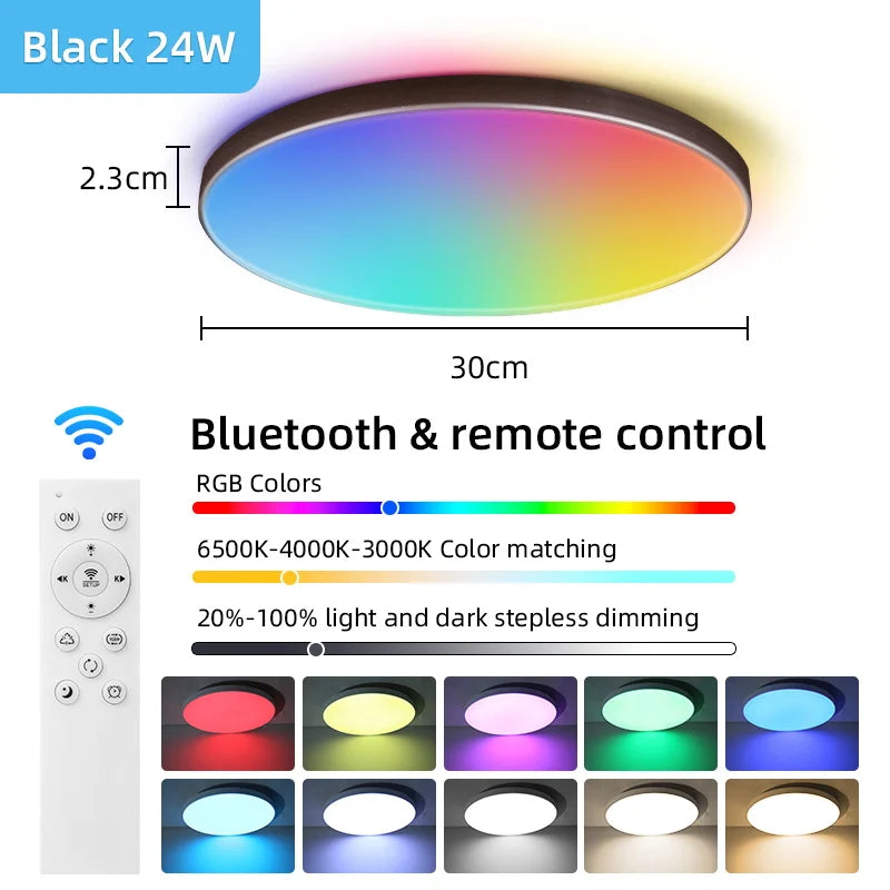 Modern Ceiling Lamp With Remote Control Room Decor Dimmable RGB LED Ceiling Light Fixture For Living Room Bedroom Corridor