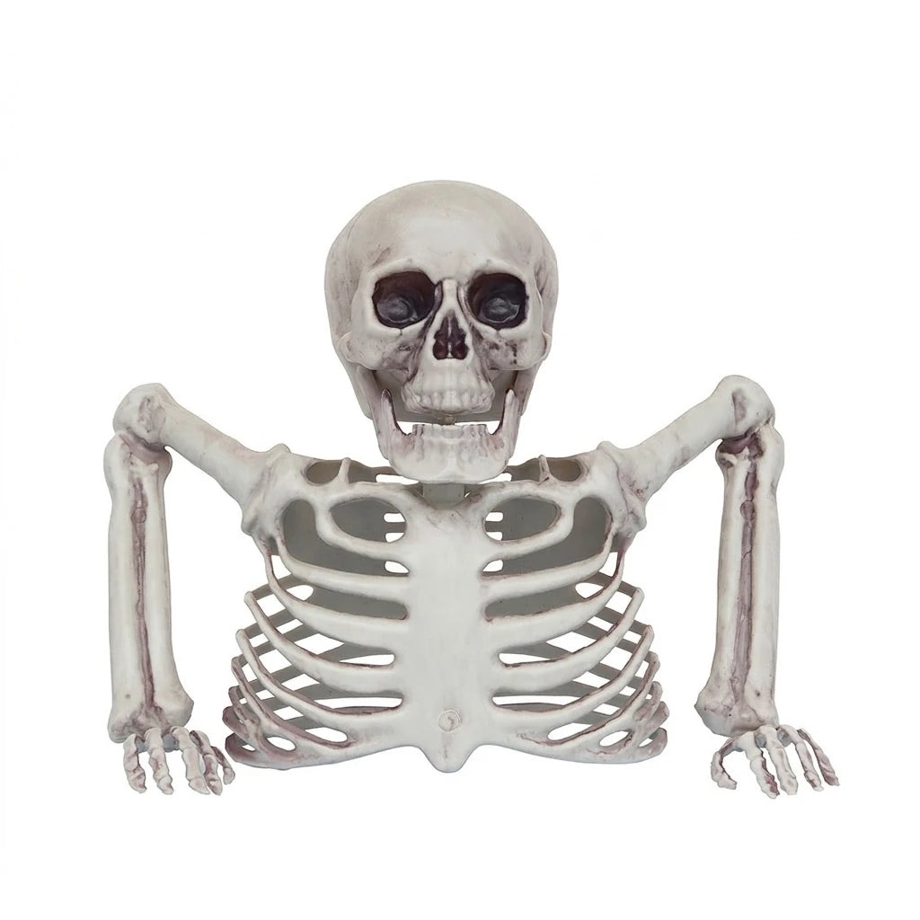 Halloween Realistic Skeleton Ornament with Movable
