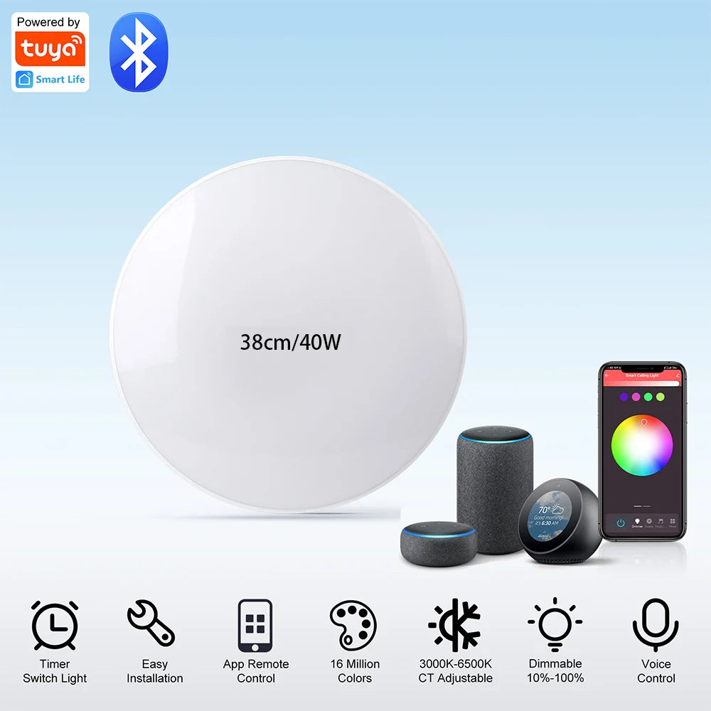 Modern Ceiling Lamp With Remote Control Room Decor Dimmable RGB LED Ceiling Light Fixture For Living Room Bedroom Corridor