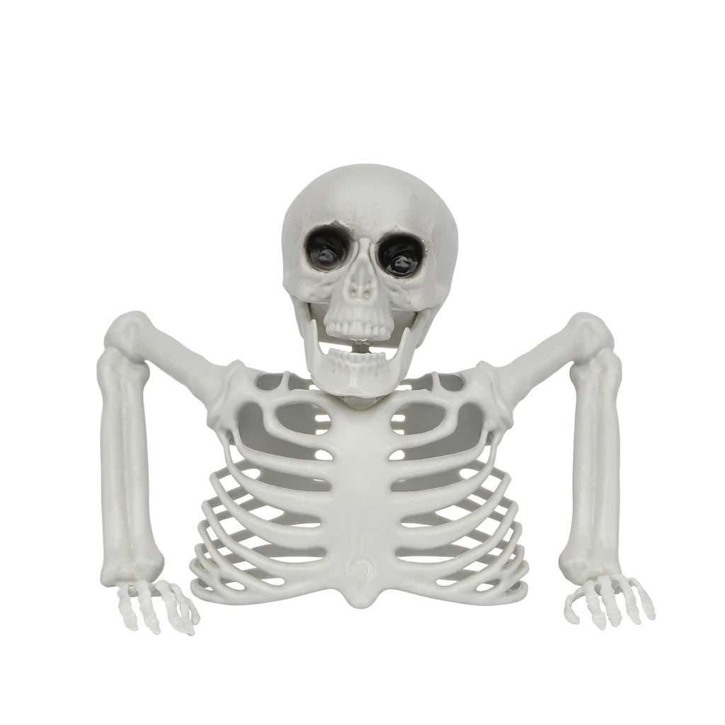 Halloween Realistic Skeleton Ornament with Movable