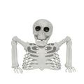 Halloween Realistic Skeleton Ornament with Movable