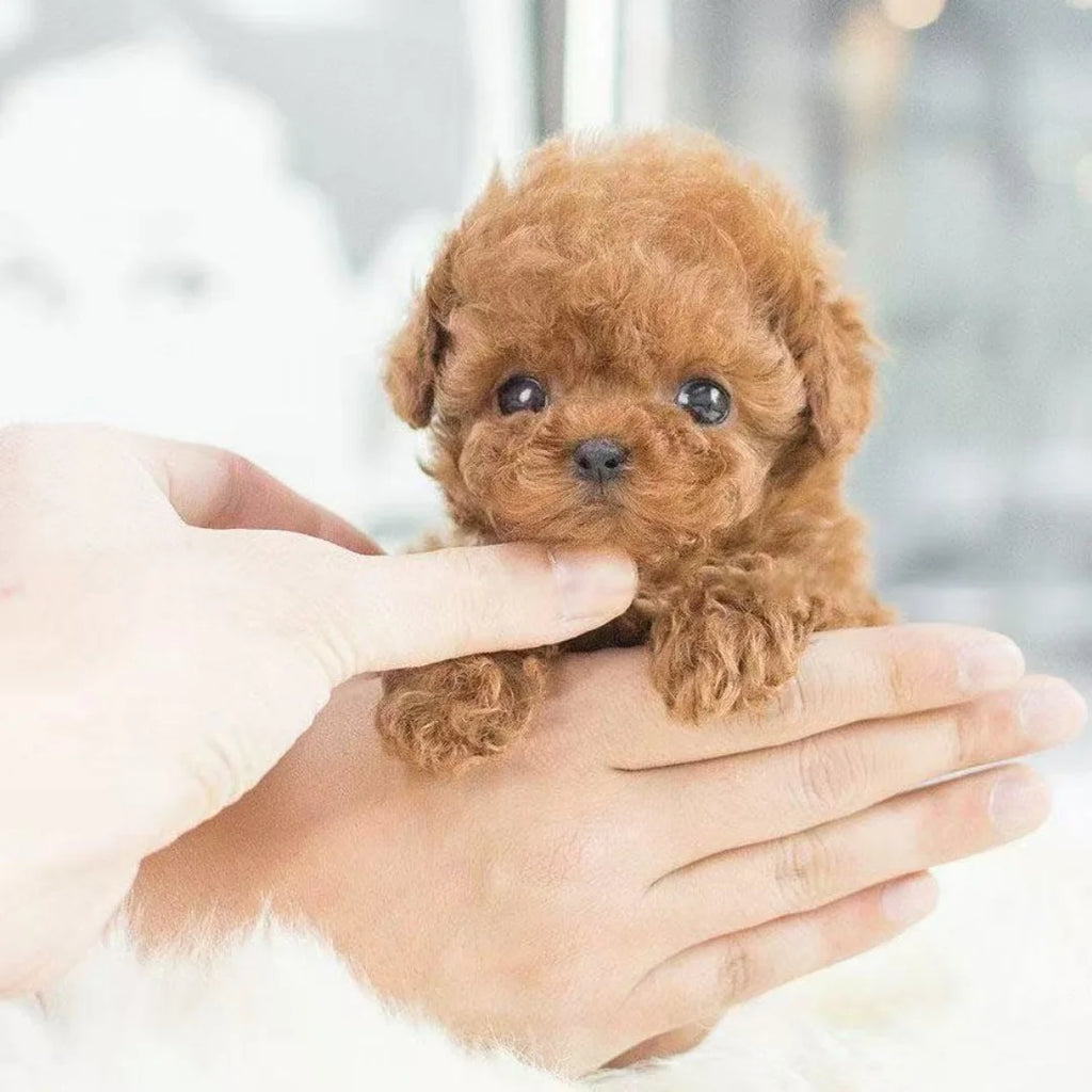 New Cute Plush Robot Puppy Interactive Walking Simulated Puppy