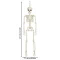 1pc Halloween Skull Skeleton 40cm Posable Skeleton Human