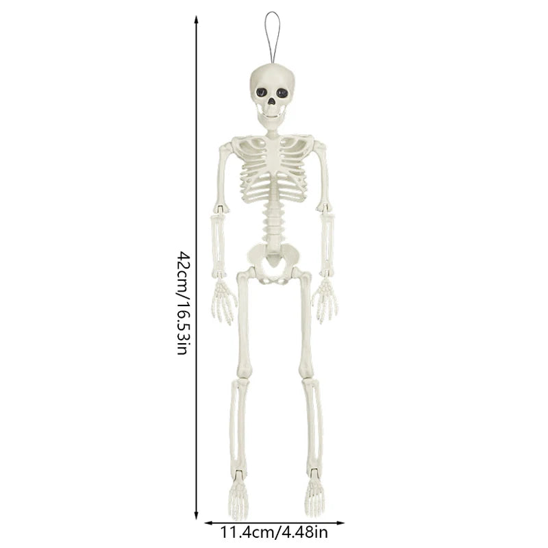1pc Halloween Skull Skeleton 40cm Posable Skeleton Human