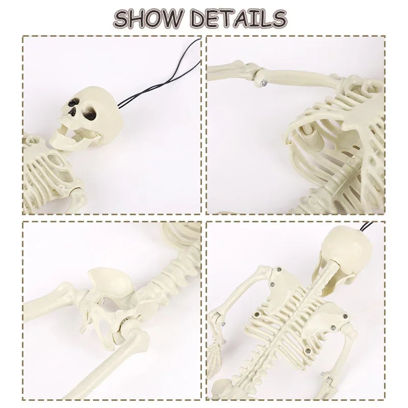 1pc Halloween Skull Skeleton 40cm Posable Skeleton Human